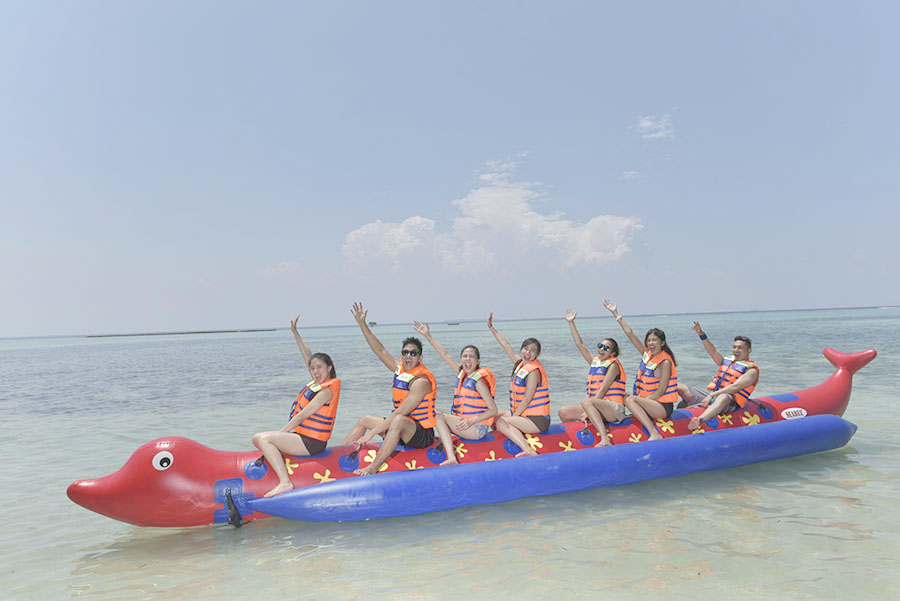 Dolphin Boat 8 Orang