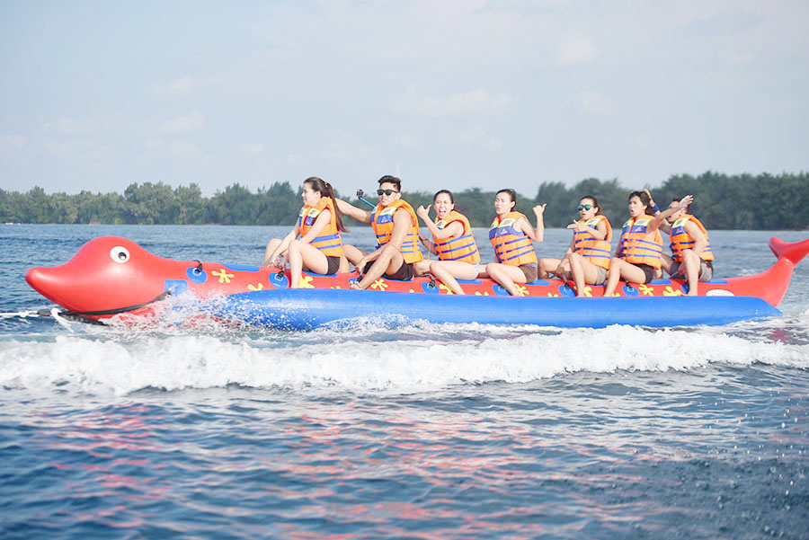 Dolphin Boat 8 Orang