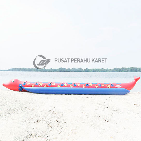 Dolphin Boat 8 Orang